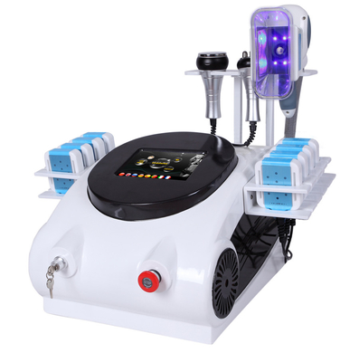 Vücut Şekillendirme Zayıflama 650nm için 40K Kavitasyon Cryo Yağ Dondurma Makinesi