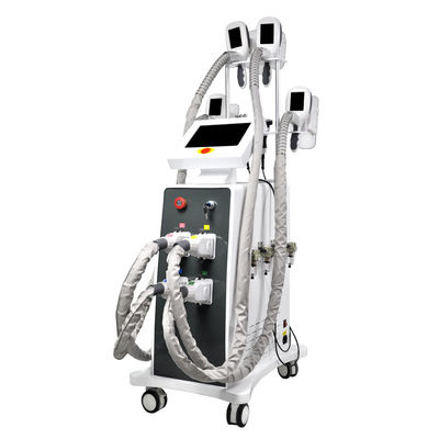 Yağ Dondurma Cryolipolysis Zayıflama Makinesi 800W OEM