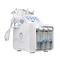 Taşınabilir 6 In1 Hydra Dermabrazyon Makinesi Karbon Soyma Makinesi Yüz Terapisi