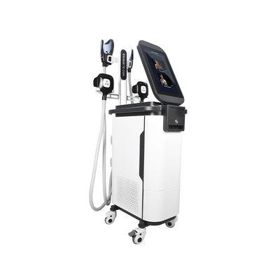 2'si 1 Arada Ems Cryo Vücut Şekillendirme Makinesi  4 Saplı Estimulador Kas Makinesi