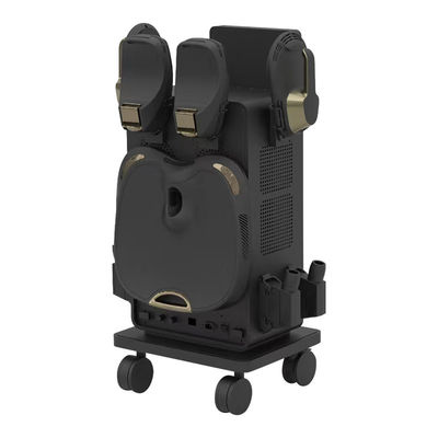 RF  ile vücut şekillendirme makinesi 4 Yastık ile sapı