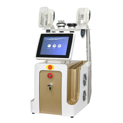 Dört Saplı 3 In1 İnvazif Olmayan Ağrısız Taşınabilir Dokunmatik Ekran Ev ve Ticari Kullanım Cryo Dondurucu Güzellik Makinesi Zayıflama Güzellik Makinesi