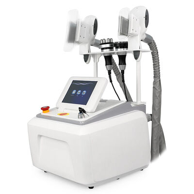 4 in 1 invaziv olmayan ağrısız taşınabilir 4 tutamlı ev ve ticari kullanım kriyo dondurma güzellik makinesi zayıflatma güzellik makinesi