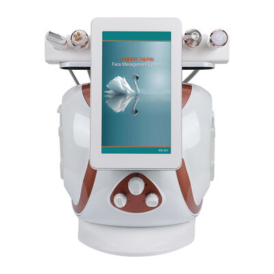 8 In 1 Hidrojen Oksijen Küçük Kabarcık Hydrafacial Makinesi Çok Fonksiyonlu Yüz Cilt Bakımı Salonu Ekipmanları